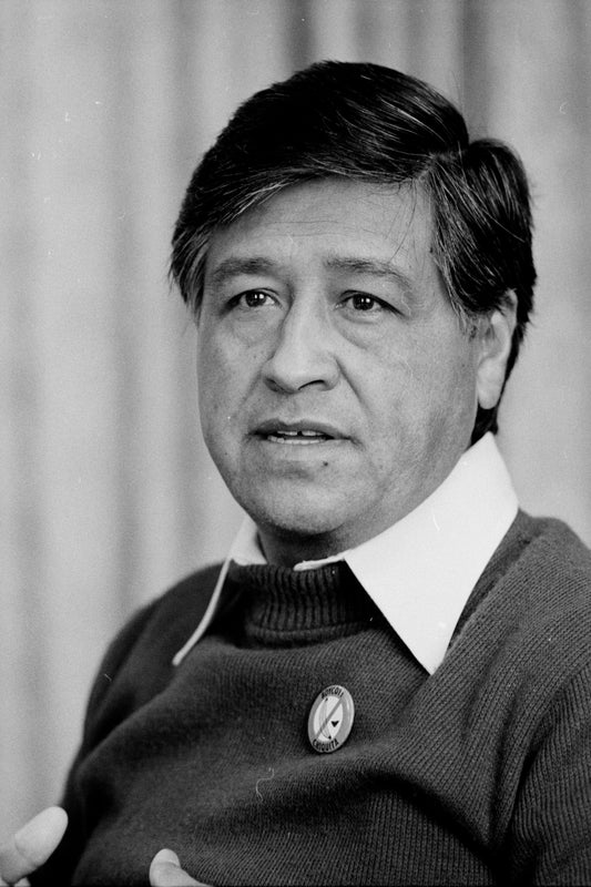 Cesar Chavez Glossy Poster Picture Photo Print Banner Civil Rights Leader Booma Prints