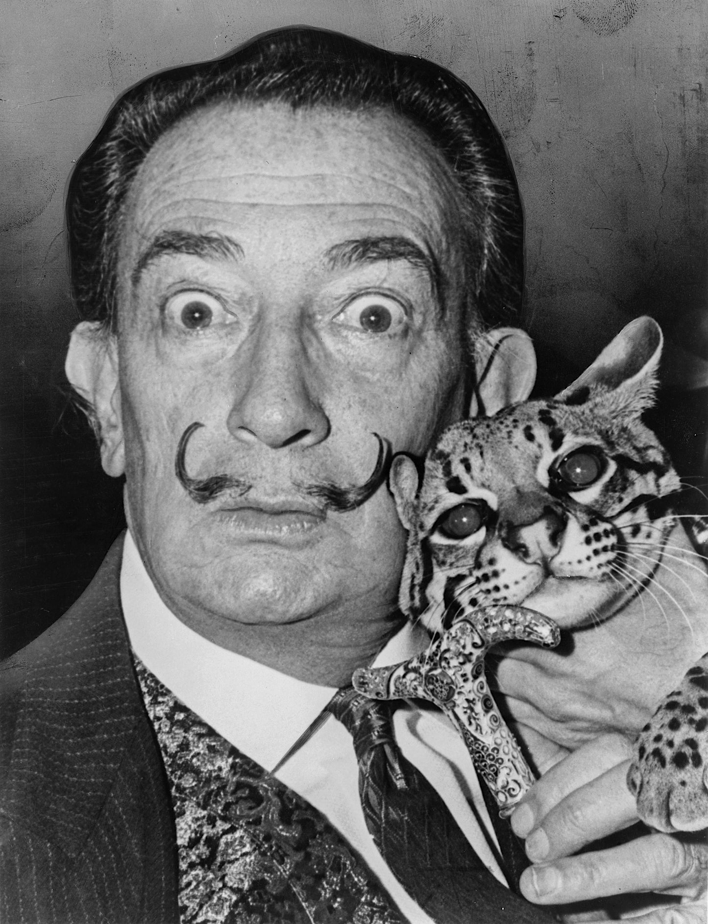 Salvador Dali Glossy Poster Picture Photo Print Banner Spanish Art Cat Booma Prints