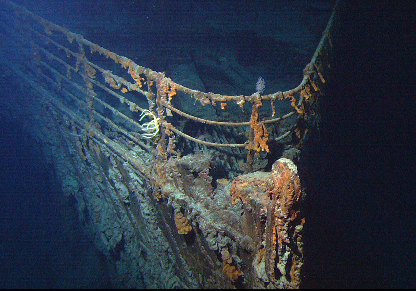 Titanic Ship Wreckage Glossy Poster Picture Photo Print Banner Bow Ocean Booma Prints