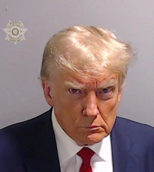 Donald Trump Georgia Mugshot 2023 Glossy Poster Picture Photo Print Banner Booma Prints