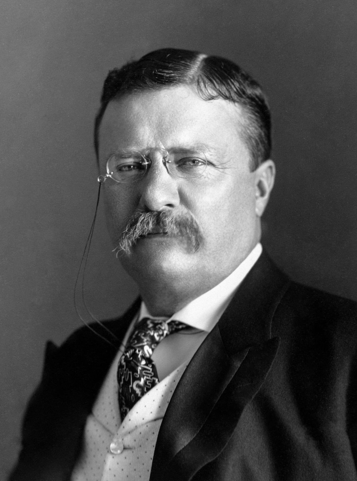 Theodore Roosevelt Glossy Poster Picture Photo Print Banner Peace Official Booma Prints