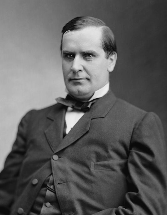 President William Mckinley Glossy Poster Picture Photo Print Banner Usa Booma Prints