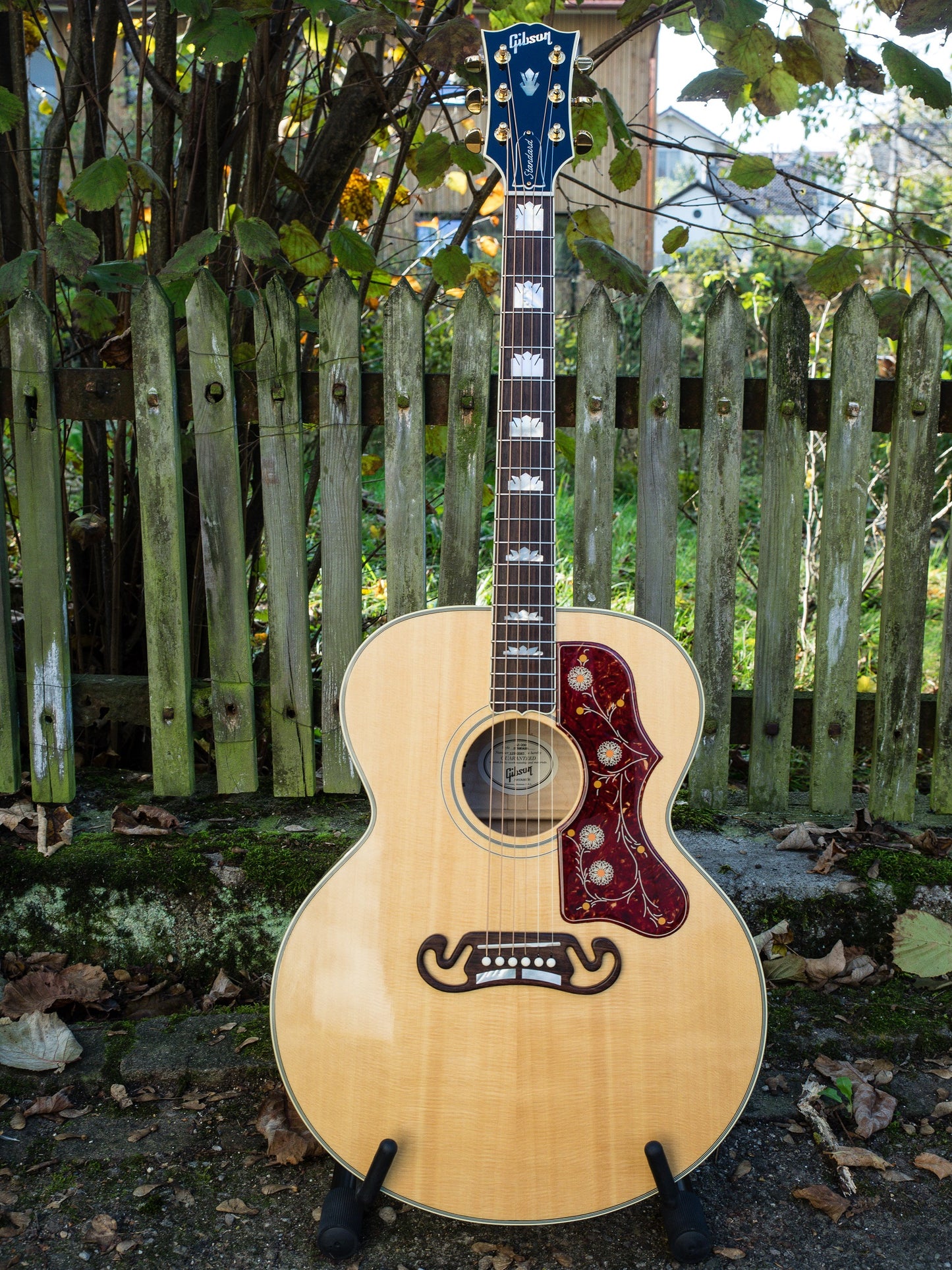 Acoustic Gibson Guitar Glossy Poster Picture Photo Print Booma Prints