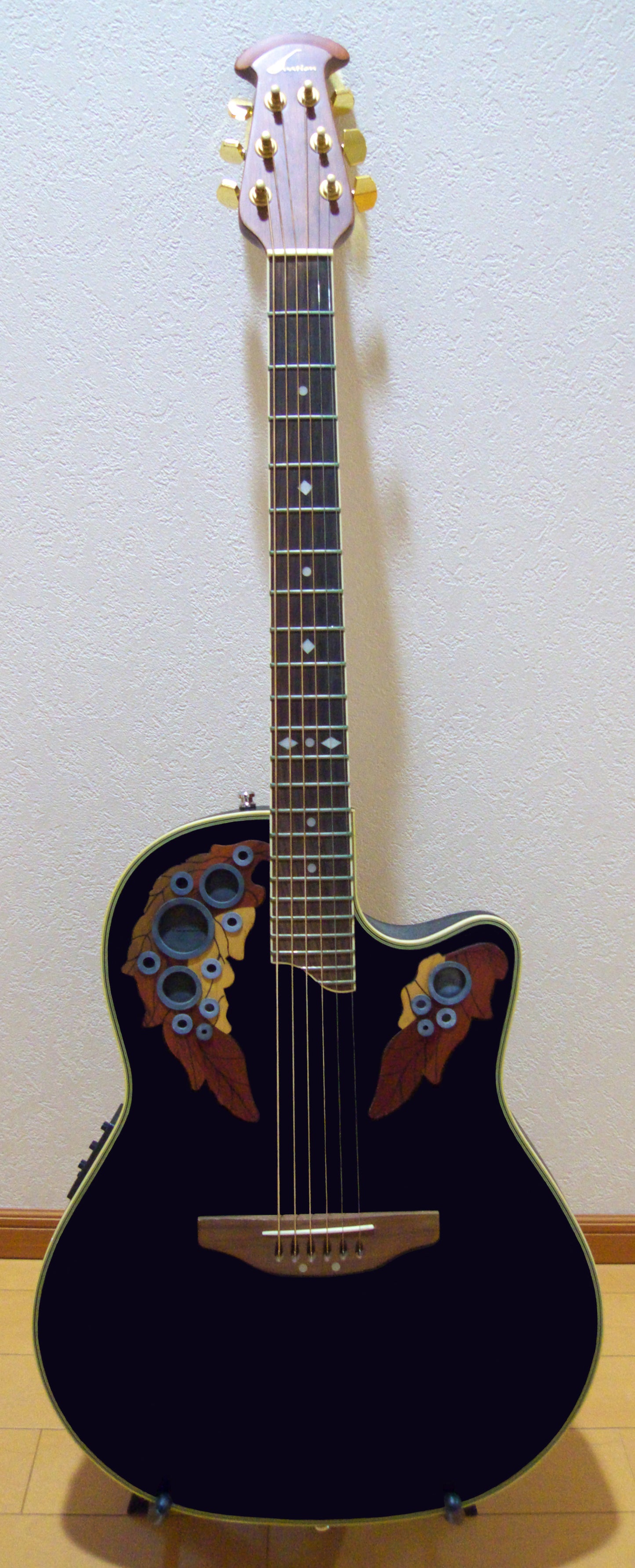 Ovation Acoustic Guitar Glossy Poster Picture Photo Print Booma Prints