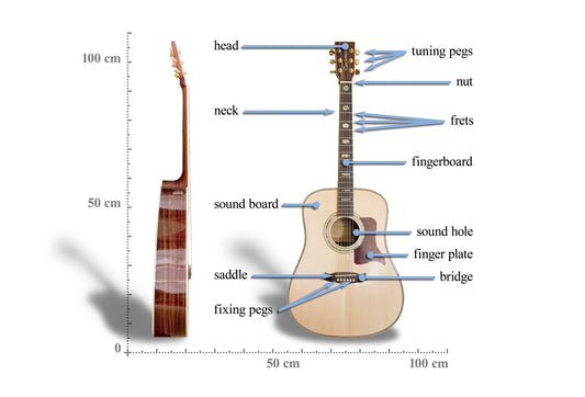 Acoustic Guitar Anatomy Glossy Poster Picture Photo Print Booma Prints