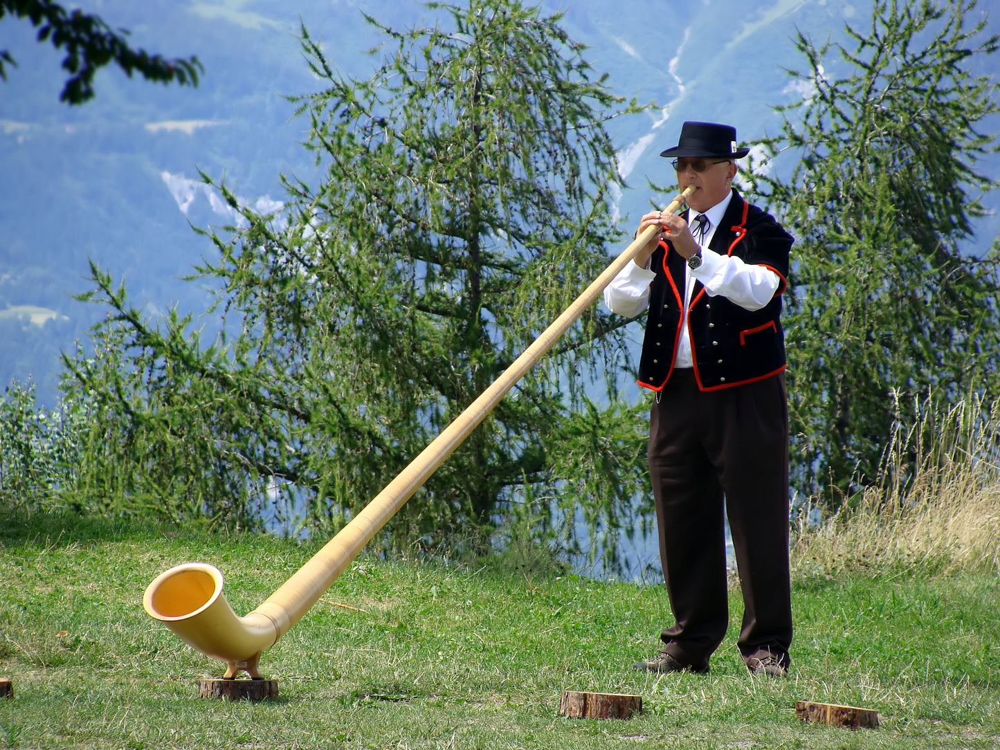 Alphorn Player Alpine Horn Glossy Poster Picture Photo Print Booma Prints