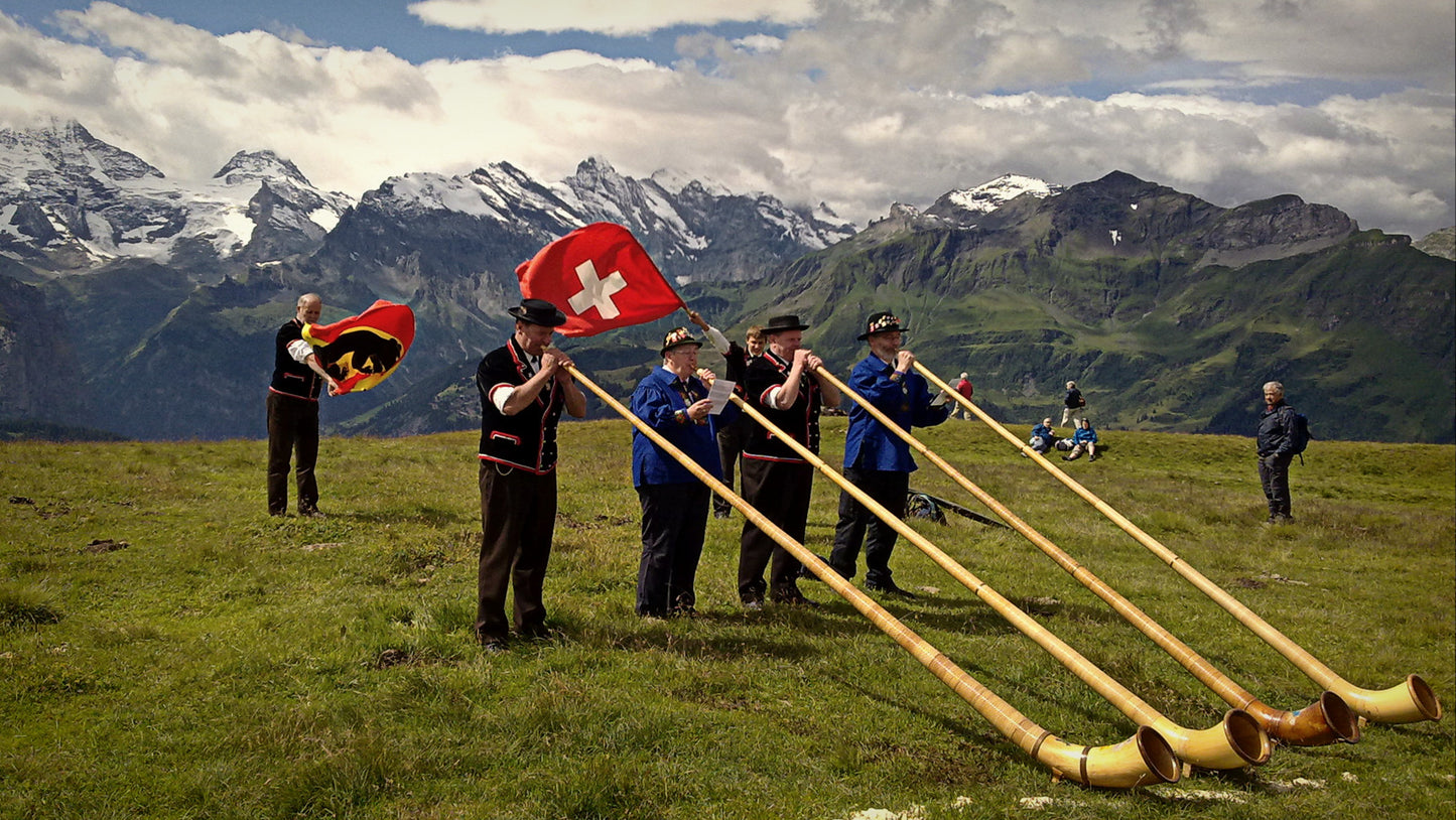 Alphorn Alpenhorn Player Alpine Horn Glossy Poster Picture Photo Print Booma Prints