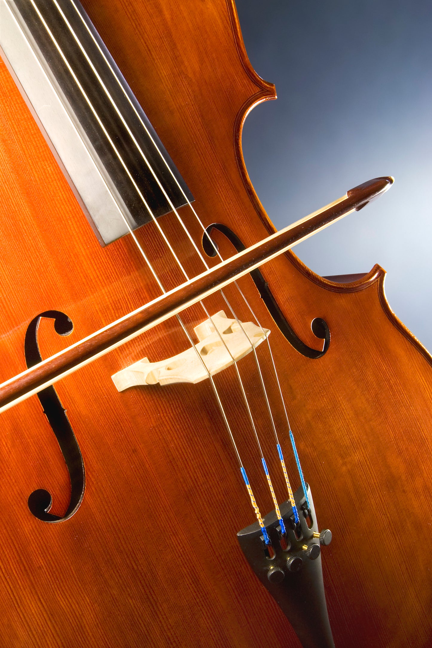 Cello Glossy Poster Picture Photo Banner Print Violincello String Booma Prints