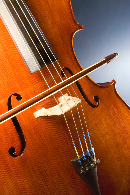 Cello Glossy Poster Picture Photo Banner Print Violincello String Booma Prints