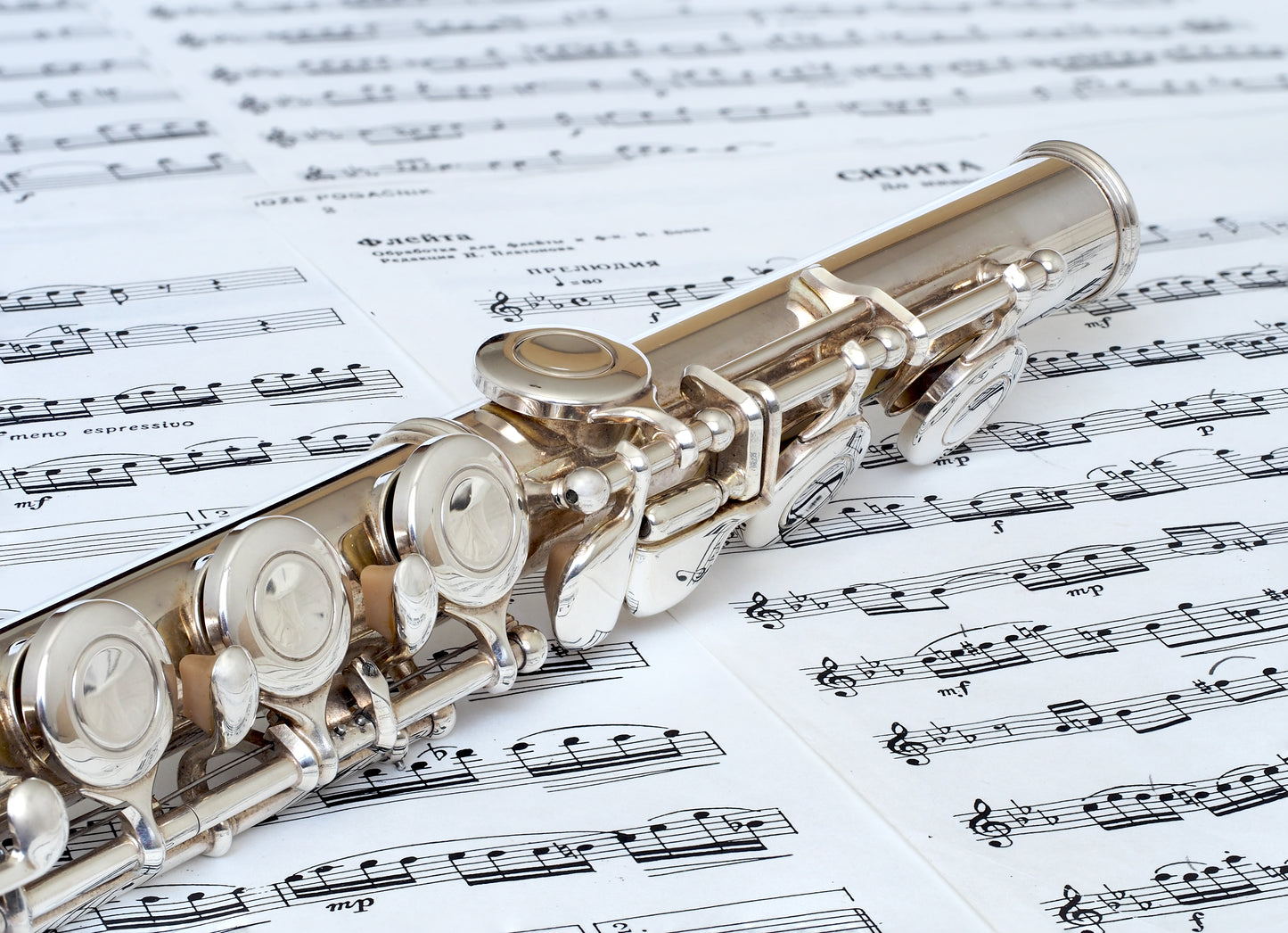 Flute Instrument Glossy Poster Picture Photo Banner Print Booma Prints