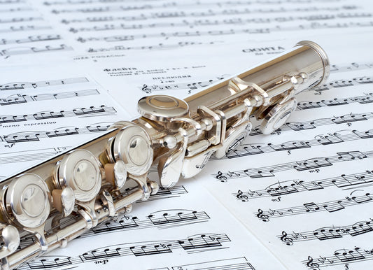 Flute Instrument Glossy Poster Picture Photo Banner Print Booma Prints