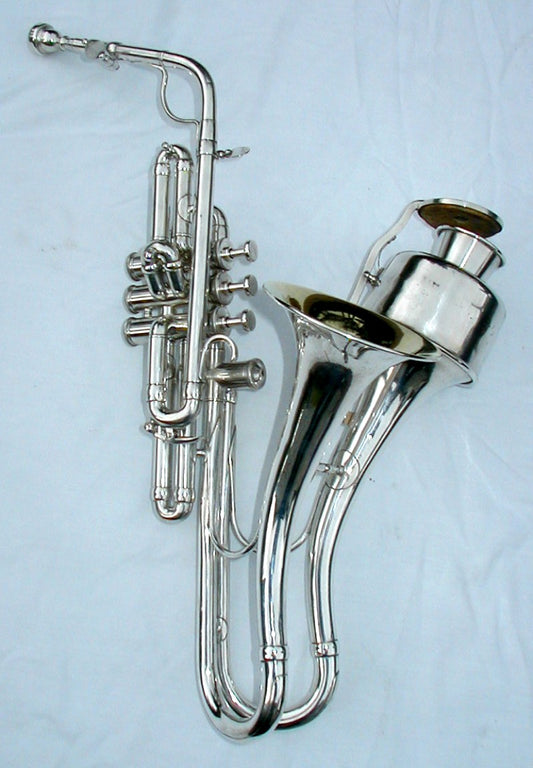 Jazzophone Instrument Glossy Poster Picture Photo Banner Print Booma Prints