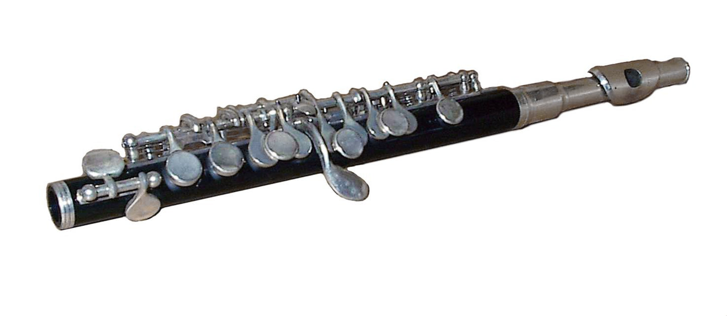 Piccolo Instrument Glossy Poster Picture Photo Banner Print Booma Prints