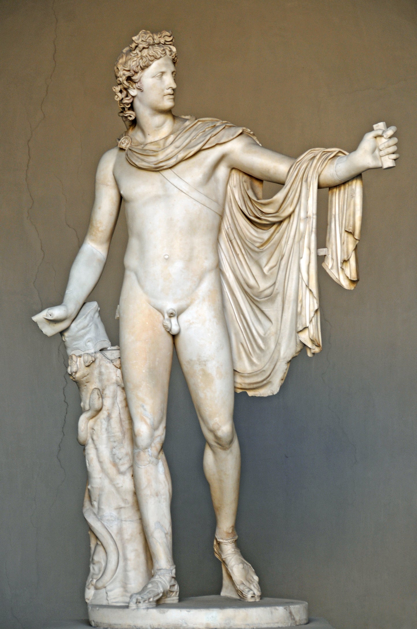 Apollo Belvedere Greek God Vatican Glossy Poster Picture Photo Banner Print Booma Prints