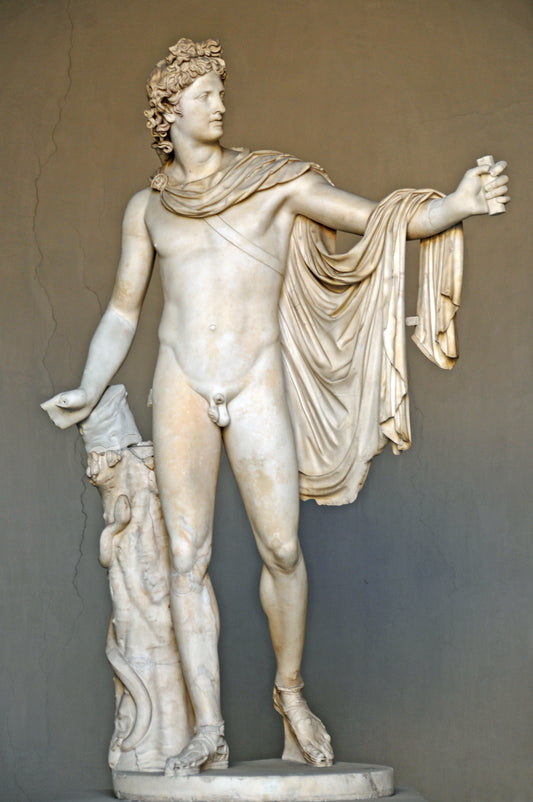 Apollo Belvedere Greek God Vatican Glossy Poster Picture Photo Banner Print Booma Prints