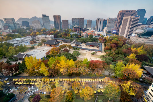 Jeongdong Observation Deck Seoul Glossy Poster Picture Photo Print Banner Booma Prints