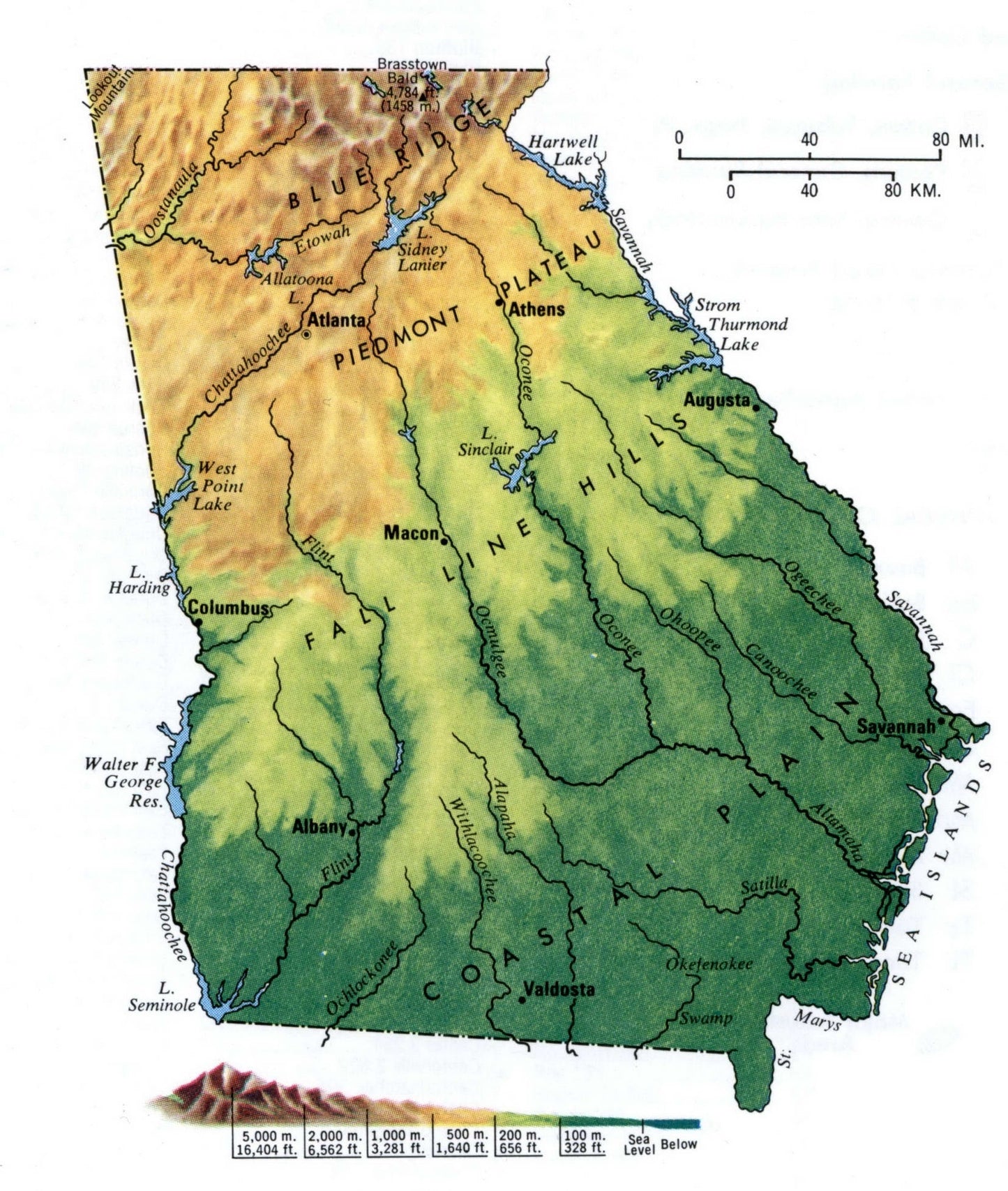 Georgia Topography Map Glossy Poster Picture Photo Print Banner Booma Prints