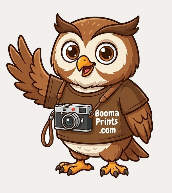 Booma Prints