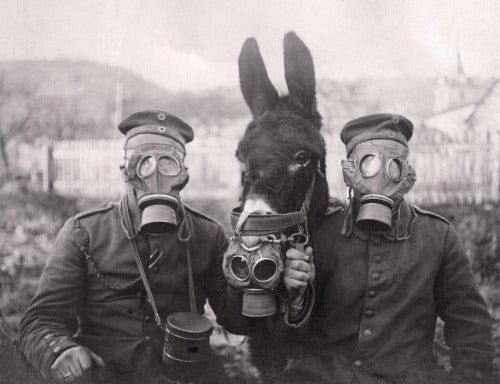 3257