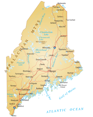 3349