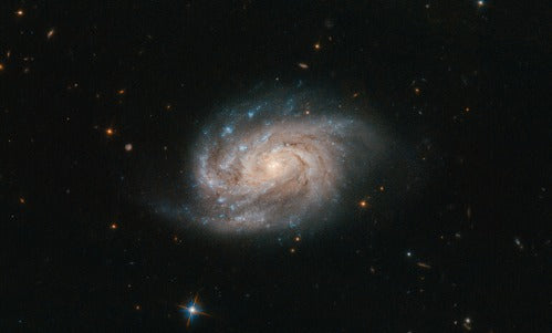 6985