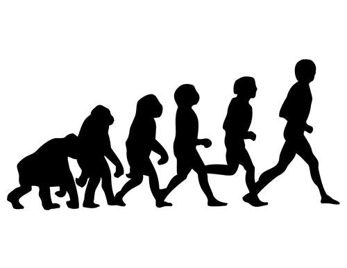 2036.jpeg