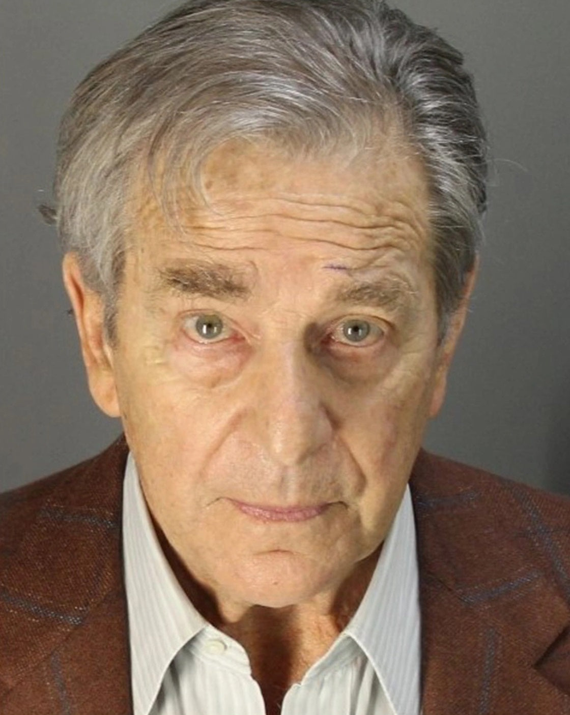 Paul Pelosi Mugshot Glossy Poster Picture Photo Print Banner Nancy Husband Booma Prints
